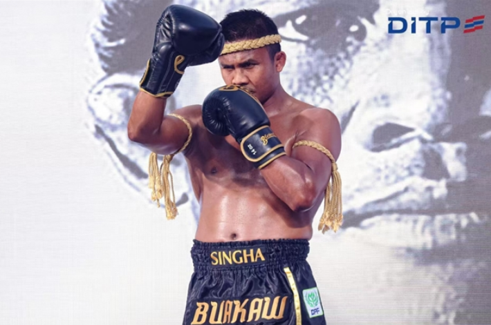 202507180905457543.jpg 3.jpg