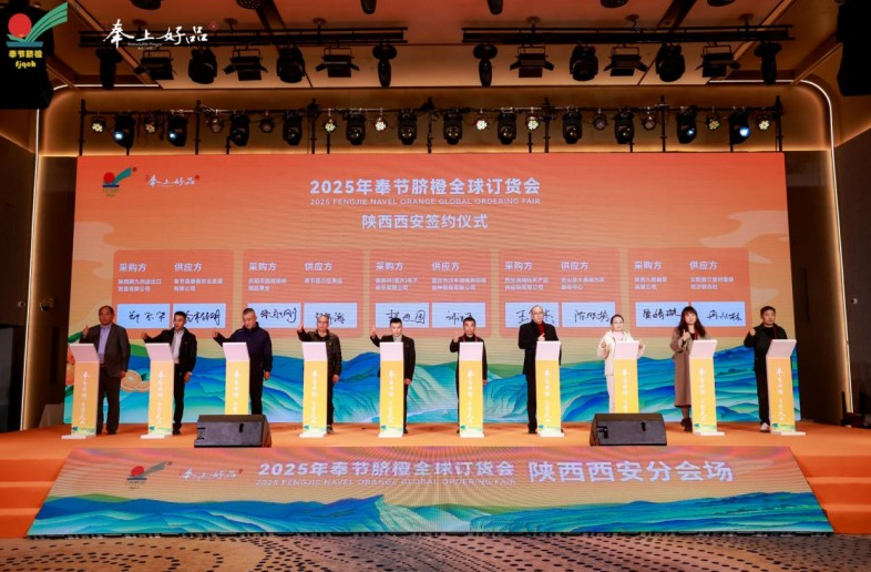 202511122007412199.jpg 7.jpg